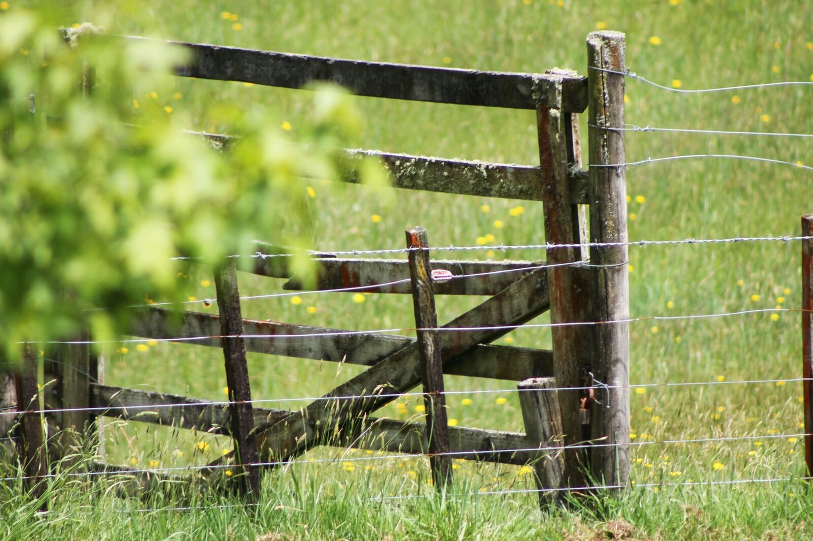 Farm gate and fence
